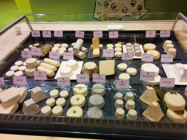 Fromage accessible, culinaire et authentique, le chèvre s’apprécie en plateau mais aussi en salade, cuisiné, en tartine, à l’apéritif ou en en-cas. © D. Hardy