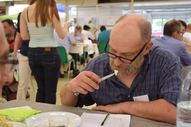 Les dégustateurs étaient invités à privilégier les fromages offrant un goût typique. © D. Hardy