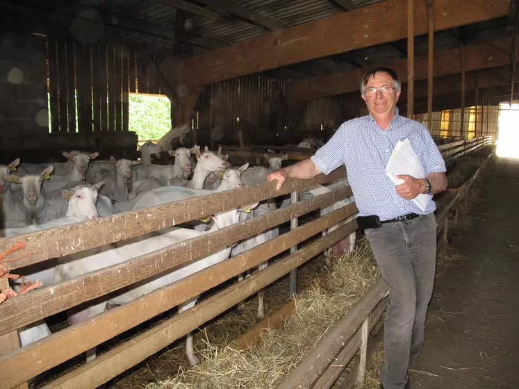 Gilles Guillomon regarde de près l’évolution des index de chaque bouc qu’il utilise en IA. © V. Bargain