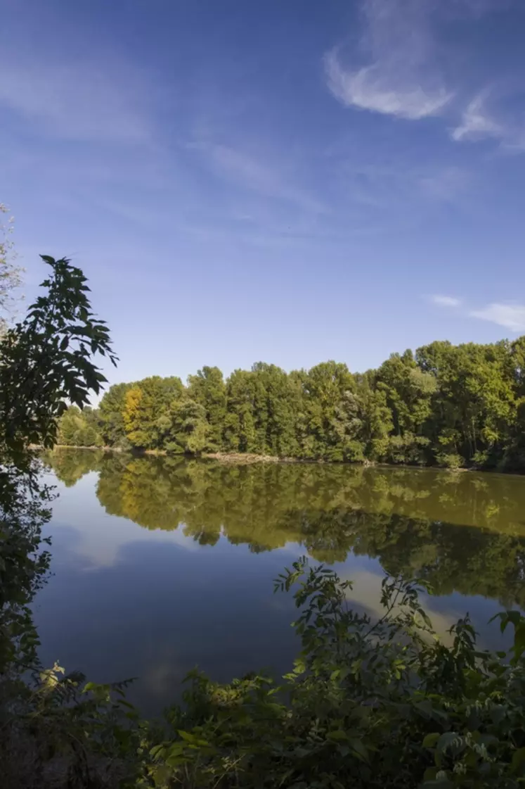 Une quinzaine de chèvres du Massif central arpente l'ancienne gravière. © S. Hans- CD63