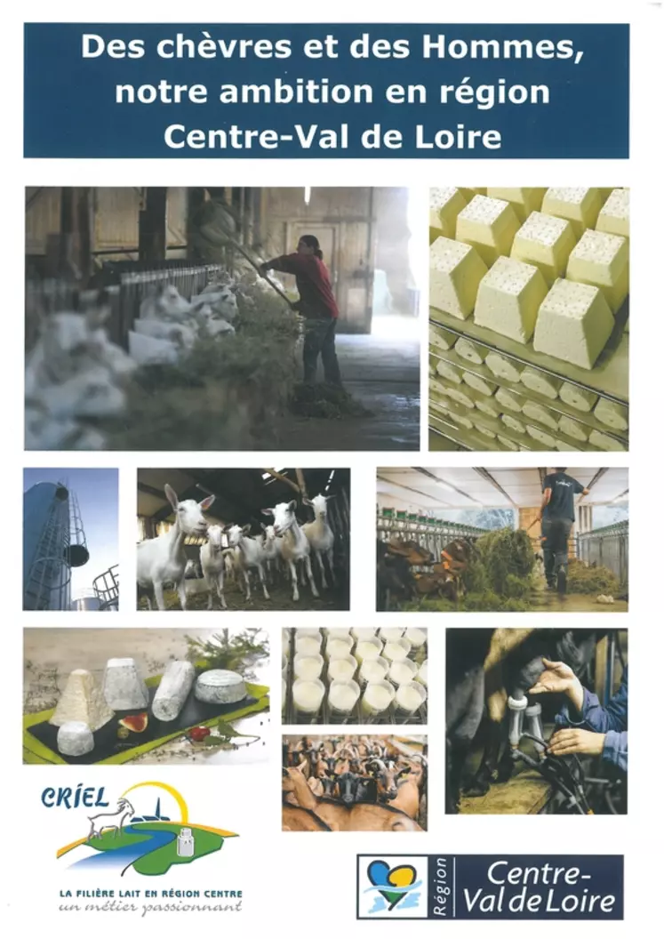 Une plaquette de douze pages décrit la production et les projets de sept laiteries de Centre-Val de Loire. © Criel centre