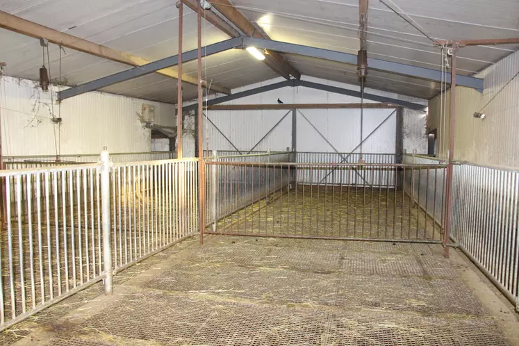 Le parc d'attente situé au milieu de la chèvrerie permet de faire avancer les quatre lots sans avoir à bouger de la salle de traite. © V. Bargain