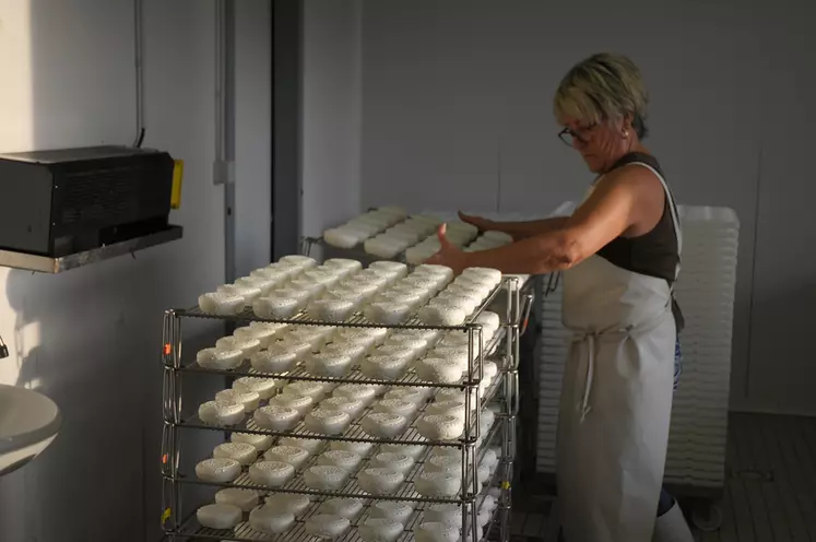 Le GBPH européen pour les productions laitières fermières et artisanales a pour objectif d’aider les professionnels à maîtriser la sécurité sanitaire dans la fromagerie. © M.-A. Batut