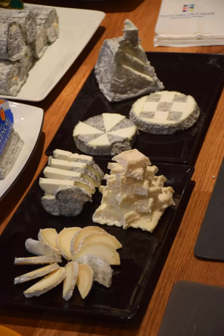 Les découpes originales de selles-sur-cher, valençay, crottin de chavignol, sainte-maure-de-Touraine et pouligny-saint-pierre. © D. Hardy