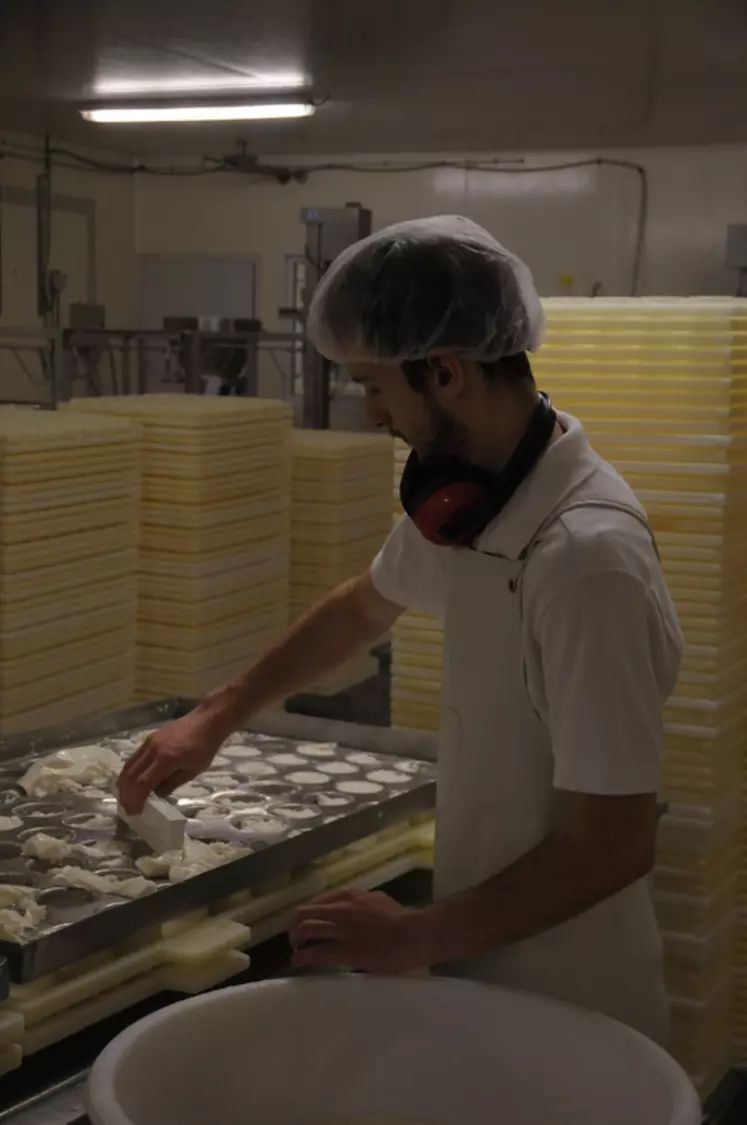 Les 18 salarié de la  fromagerie des Cévennes transforment près d'un millions de litres de lait par an.  © M.-A. Batut