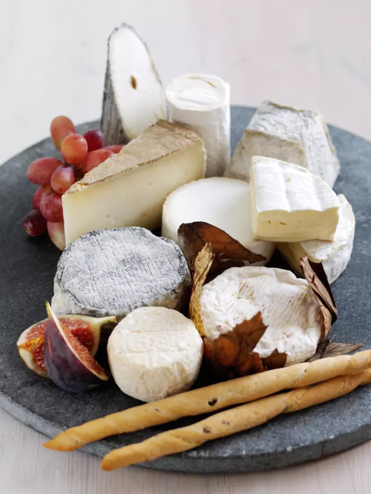 En plus du calcium, les fromages sont riches d’une diversité de flore qui pourrait augmenter l’immunité des consommateurs. © Sopexa UK/Anicap