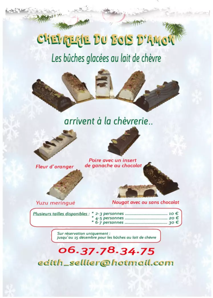 OPTIONÉdith et Pascal proposent aussi des bûches glacées pour les fêtes. © DR