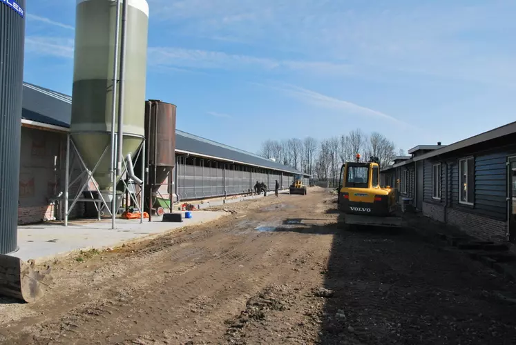 La cour entre la chèvrerie à gauche et le bâtiment de soin à droite a depuis été pavée et aménagée. © Henk ten Have / Geitenhouderij