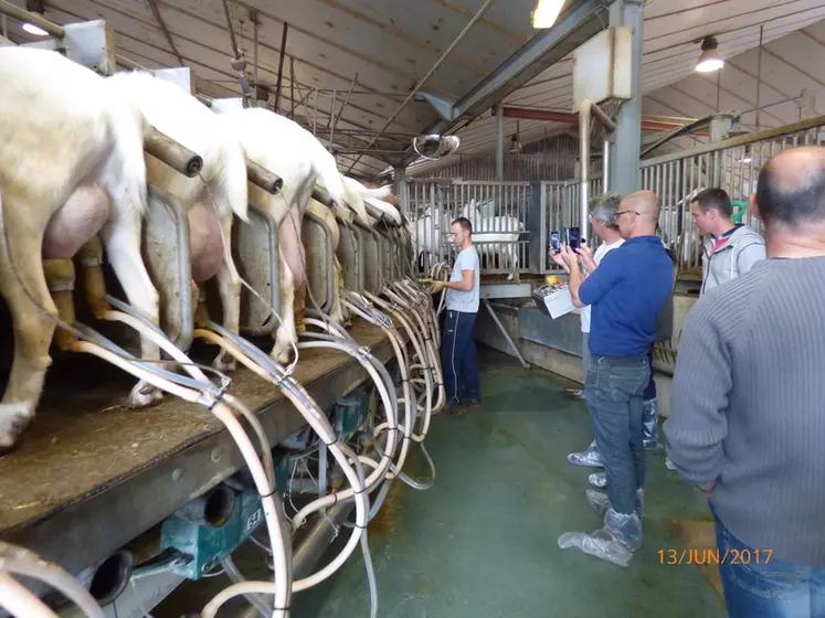 Le roto de 170 places assurent la traite dans l'élevage de 12 000 chèvres. © C. Bossis