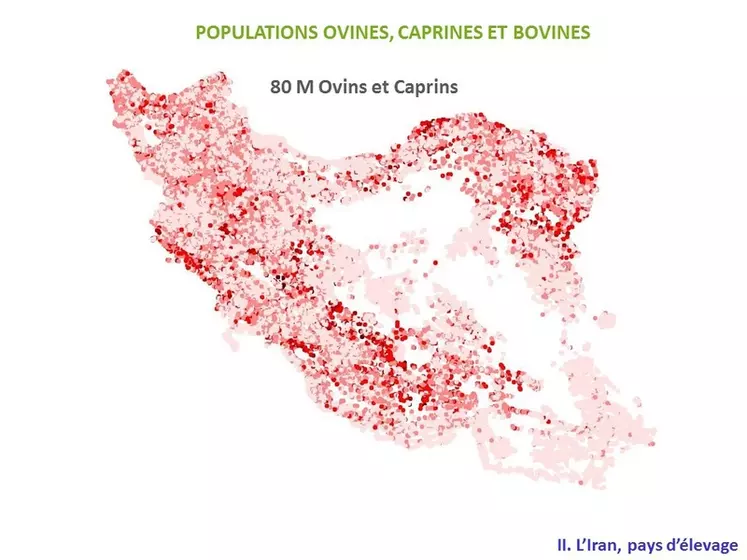 (CARTE à refaire en rajoutant Téhéran, Kerman et Karaj et en resituant en rajoutant les mers et pays voisins)Localisation des 70 millions de têtes d'ovins et de caprins en Iran © F. Geiger/Cgaaer