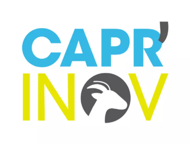 Le nouveau visage de Capr'inov veut placer l'innovation et la modernité en première place. © Capr&#039;inov