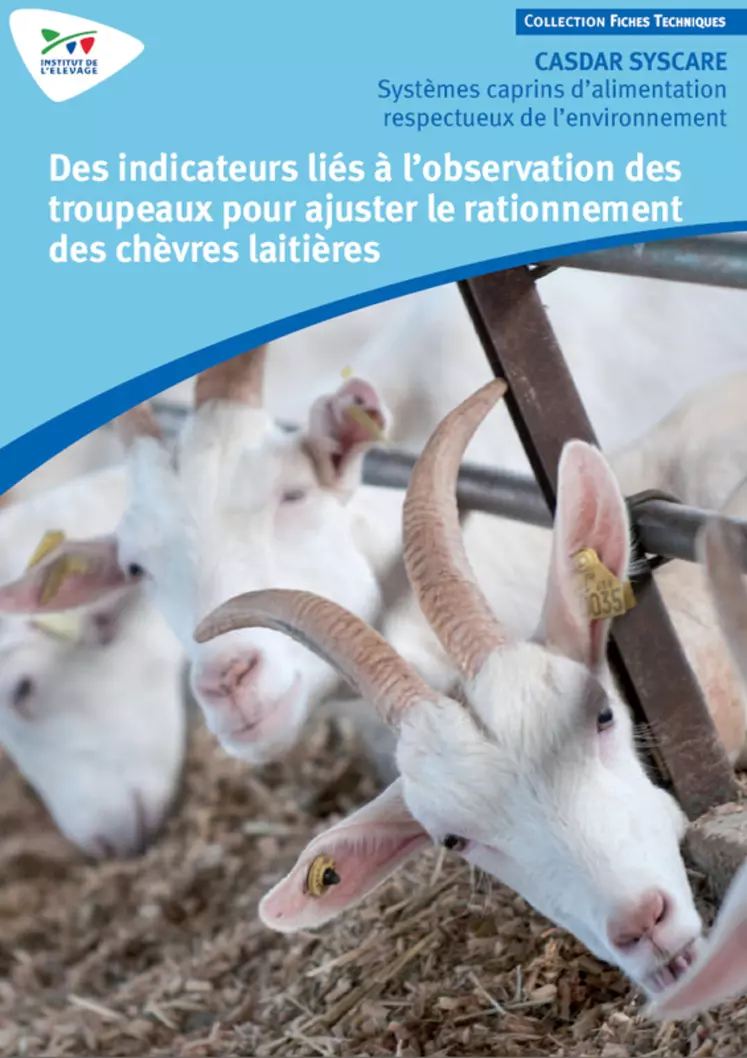 Des indicateurs liés à l’observation des troupeaux pour ajuster le rationnement des chèvres laitières. © Idele