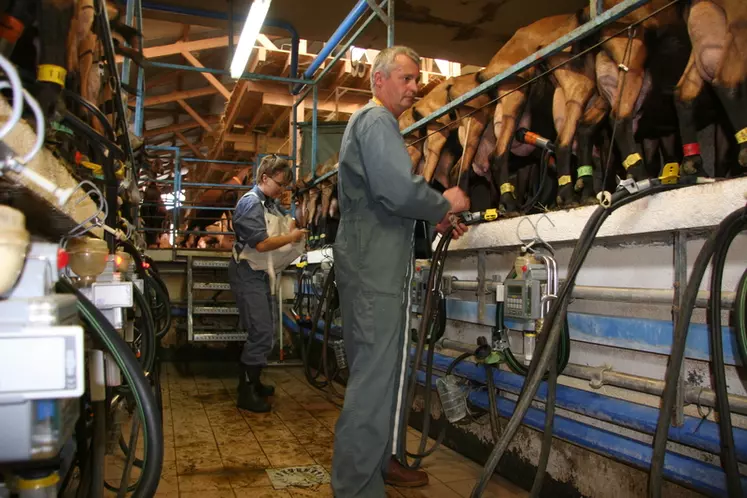 Les contrôles laitiers gagnent en souplesse sur l’alternance matin/soir et sur les écarts entre contrôles. © D. Hardy