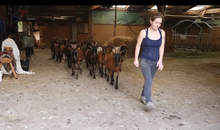 La Ferme aux pampilles a filmé et expliqué simplement son fonctionnement.  © Ferme Aux Pampilles