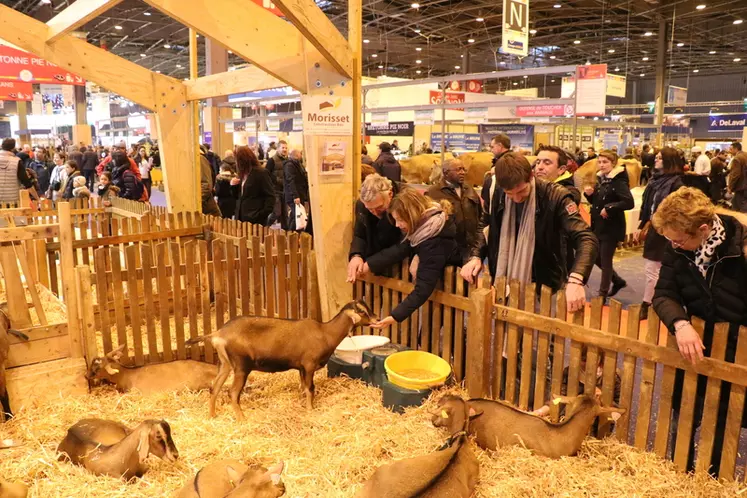 Le Salon de l’agriculture, un moment idéal pour montrer les atouts de la ferme France, du bien-être des animaux jusqu’à la fabrication d’un produit de qualité. © B. Morel