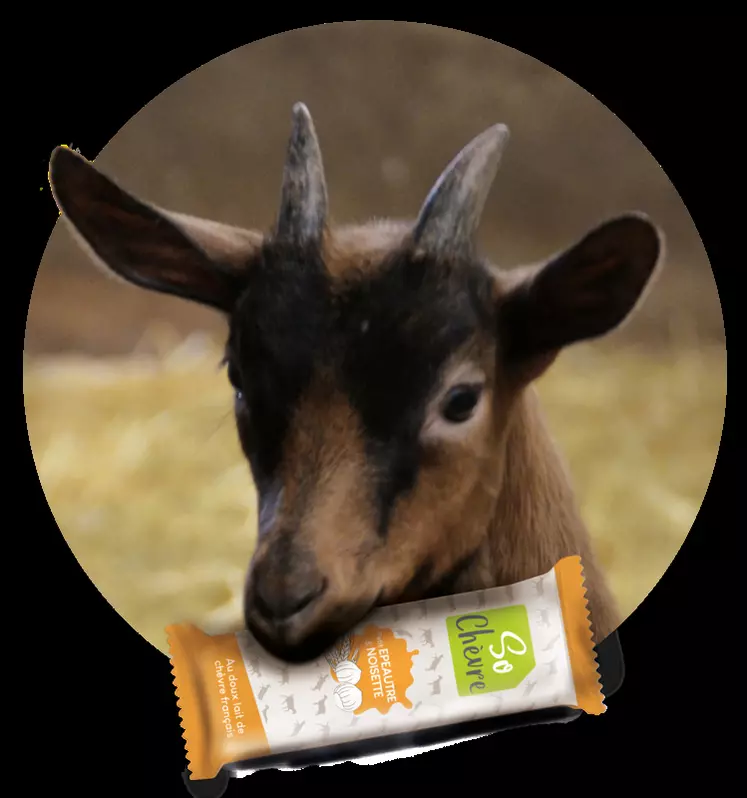 Avec les enCapri, So Chèvre veut valoriser le lait de chèvre et ses dérivés dans une gamme de produits innovants à vocation "santé". © SoChèvre