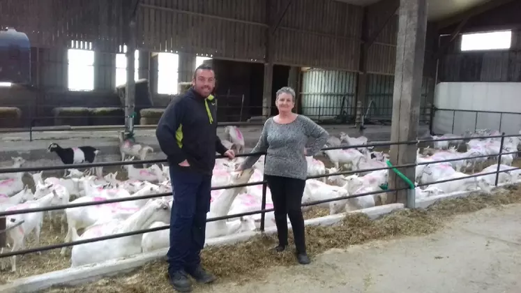 Olivier Ledez, ici avec sa mère et associée, a toujours été attiré par l'élevage de chèvres. Après quelques aménagements, l'étable est devenue une chèvrerie tout à fait convenable. © O. Ledez