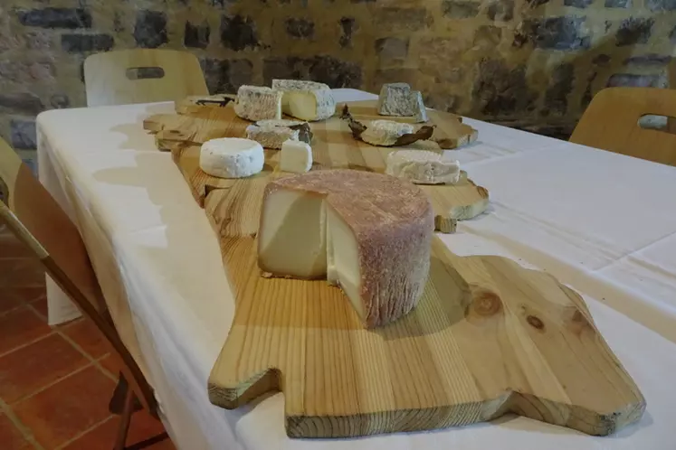 Cinquante-huit fromages étaient en lice en Charente. © M. Teinturier