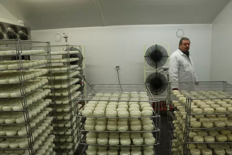 L'affinage Peytot a trouvé l'équilibre entre tradition et modernité. Le bâtiment neuf assure une bonne ventilation; la cave en pierre et terre battue conserve l'authenticité du produit. © B. Morel