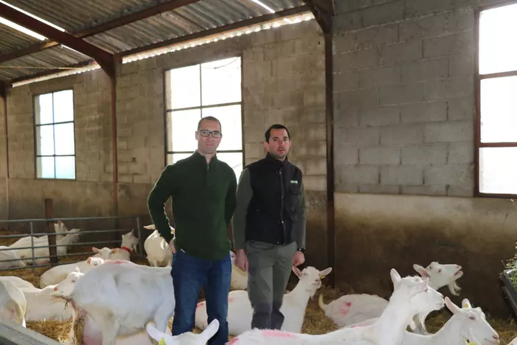 Laurent et Sylvain Balmelle ont de nombreuses perspectives d'avenir et envisagent de faire entrer un nouvel associé dans leur Gaec. © B. Morel