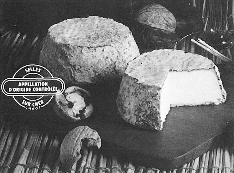Le Syndicat de défense du fromage de selles-sur-cher est créé en 1972. Trois ans plus tard, le décret du Centre national des appellations d’origine française attribuant officiellement l’AOC du selles-sur-cher est publié en avril 1975. © Archives