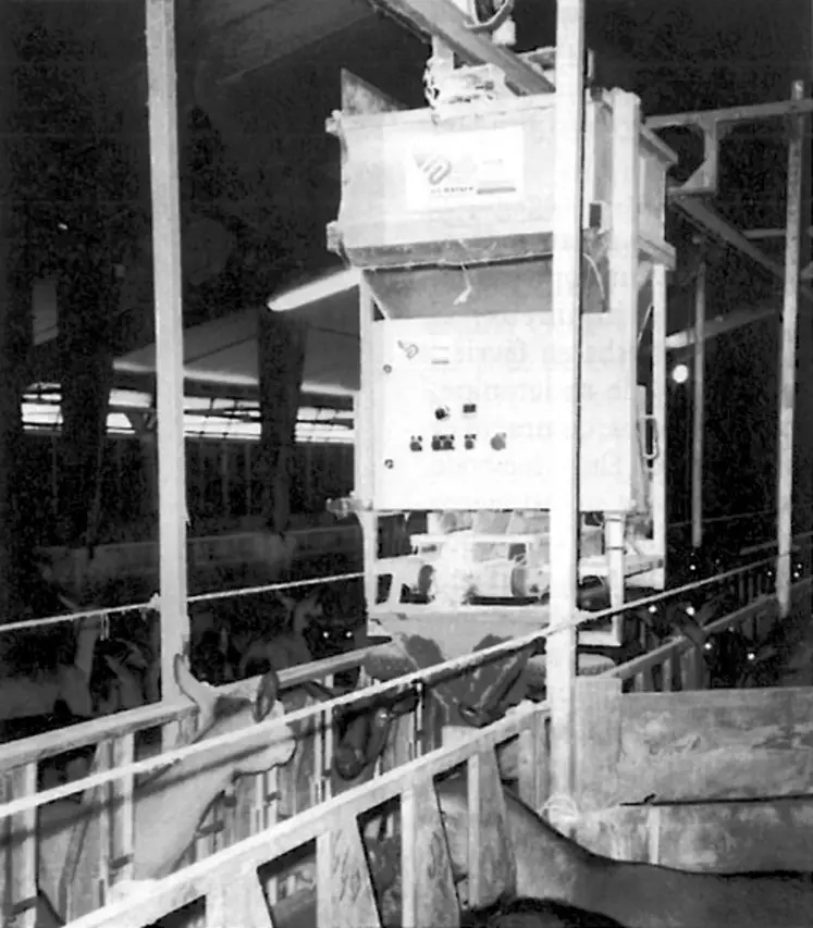 En 1997, une trémie mobile automatique suspendue à un rail aérien a pour avantage d’améliorer l’organisation du travail de certains élevages en distribuant directement les aliments dans les auges. © Archives
