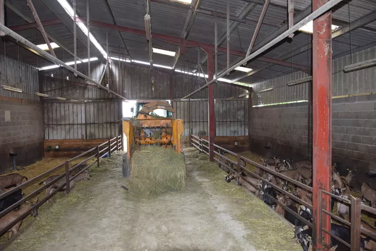 A METTRE AVEC PHOTO 2BLa dérouleuse-pailleuse reste maintenant en permanence dans le couloir sans que cela ne gêne la distribution automatique d’aliments. © D. Hardy
