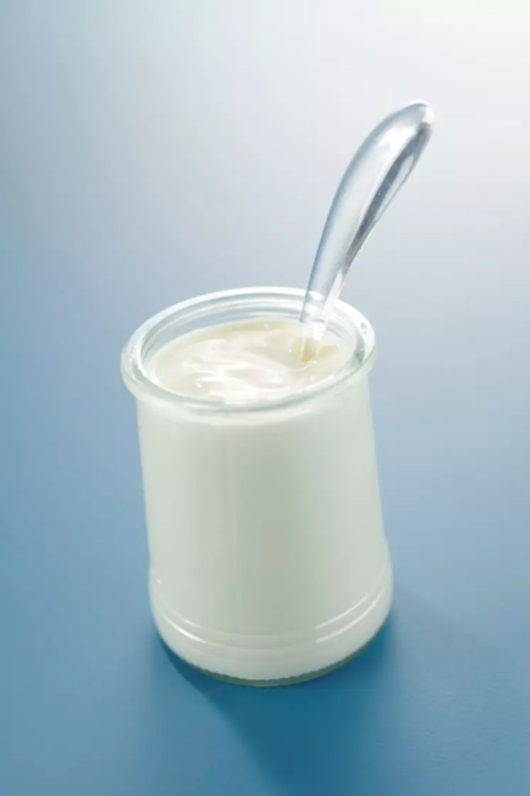 La composition du lait de chèvre rend la texture des yaourts plus instables. © Studio B/Cniel