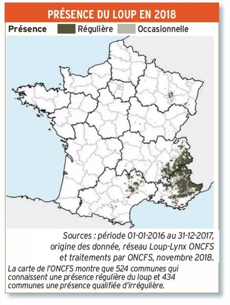 Présence du loup en 2016 et 2017La carte de l'ONCFS montre que 524 communes connaissent une présence régulière du loup et 434 communes une présence qualifiée d'irrégulière. © Source : réseau loup et lynx ONCFS. Traitement des données en novembre 2018.