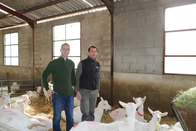 LAURENT BALMELLE, éleveur caprin en Ardèche et fromager fermier. © B. Morel