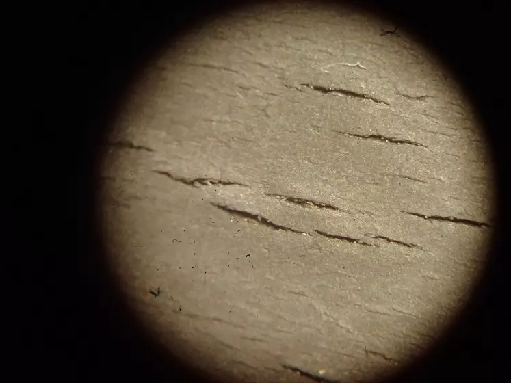 Des fissures et craquelures du caoutchouc sont visibles à la loupe binoculaire au-delà de 3 750 traites (grossissement x35). © Idele