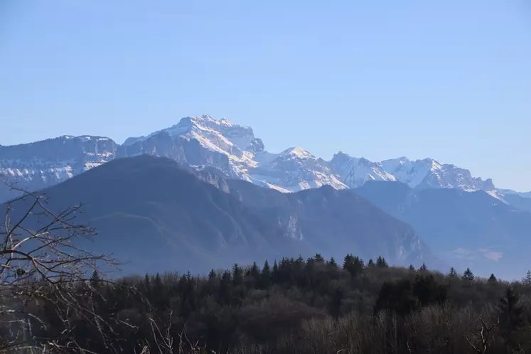 La mobilisation des éleveurs pour sauvegarder le patrimoine génétique contribue au dynamisme territorial dans des zones difficiles et où l'élevage caprin a souvent été délaissé. © B. Morel