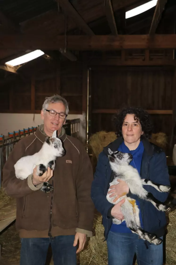 Frédéric et Elsa Bencteux ont souhaité renforcer les aptitudes rustiques de leurs chèvres en absorbant de la chèvre de Lorraine. La production laitière n'a pas diminué pour autant. © B. Morel