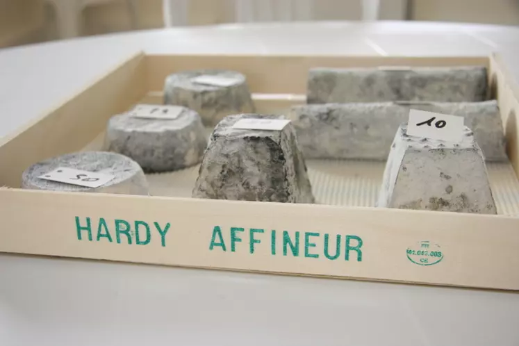 L'affinage des fromages fermiers à l'extérieur est une pratique bien ancrée dans de nombreuses régions. © D. Hardy