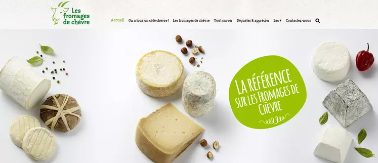 Le site internet  fromagesdechevre.com décrit la diversité des fromages et propose des recettes d'apéritif, entrée, plat ou dessert.  © Anicap
