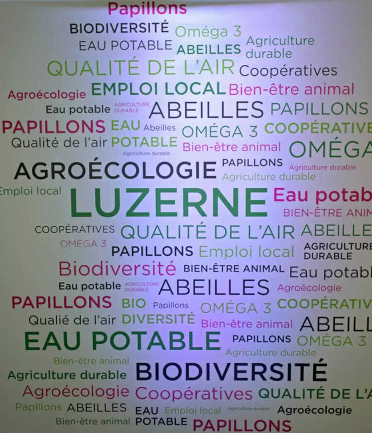 La luzerne déshydratée est un fourrage cultivé sur 67 000 hectares en France par 6 000 agriculteurs. © D. Hardy