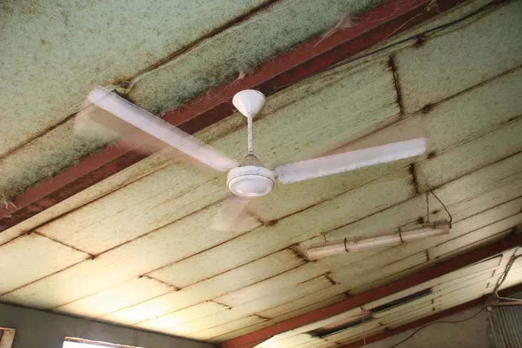 La ventilation mécanique peut venir au secours des grandes chaleurs.  © D. Hardy