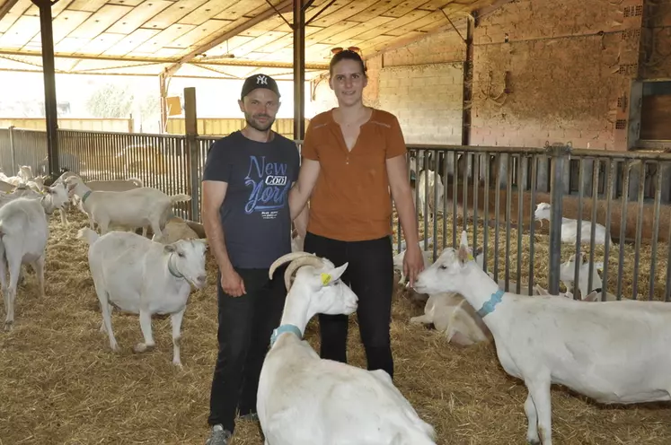 Marion Quenton et Lucas Honnoré ont réaménagé l’ancienne bergerie prévue pour 300 brebis afin d’y installer leur cheptel de 230 chèvres. © B. Griffoul
