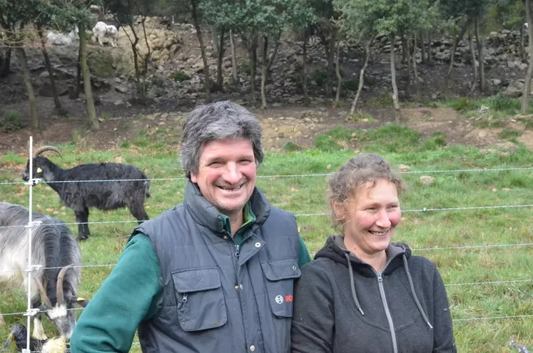 Stéphane et Claudine Poissy ont réussi à mettre à disposition de leurs animaux une centaine d'hectares de garrigues et de terrains communaux. © F. Thuault