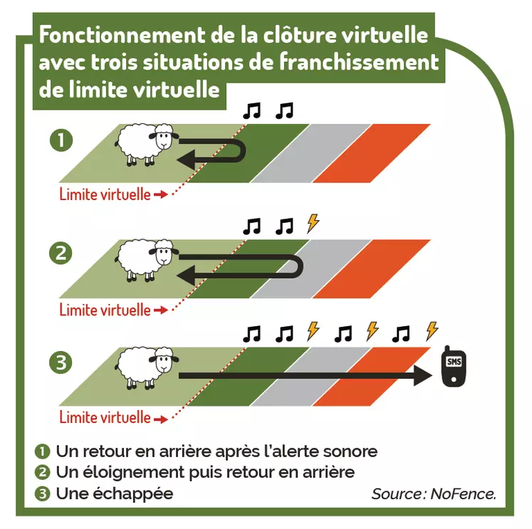 Fonctionnement de la clôture virtuelle avec trois situations de franchissement de limite virtuelle © NoFence