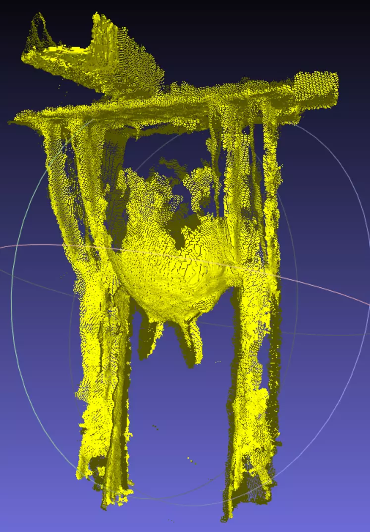 Les premières images acquises par le scanner montre reproduisent le volume de la mamelle d'une fausse chèvre. © 3D Ouest