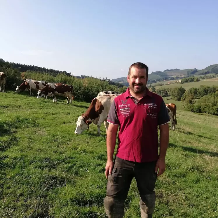 Les parcelles de Cédric Chalon sont d'abord pâturées par ces vaches avant de servir pour une enrubannage qui sera distribué aux chèvres. © C. Chalon