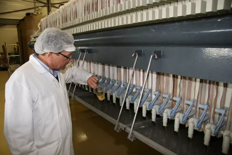 Aux Laboratoires Abia, à Meursault, en Côte-d’Or, il faut un mois pour transformer la caillettedes chevreaux, agneaux ou veaux en présure utilisable par les fromagers. © D. Hardy