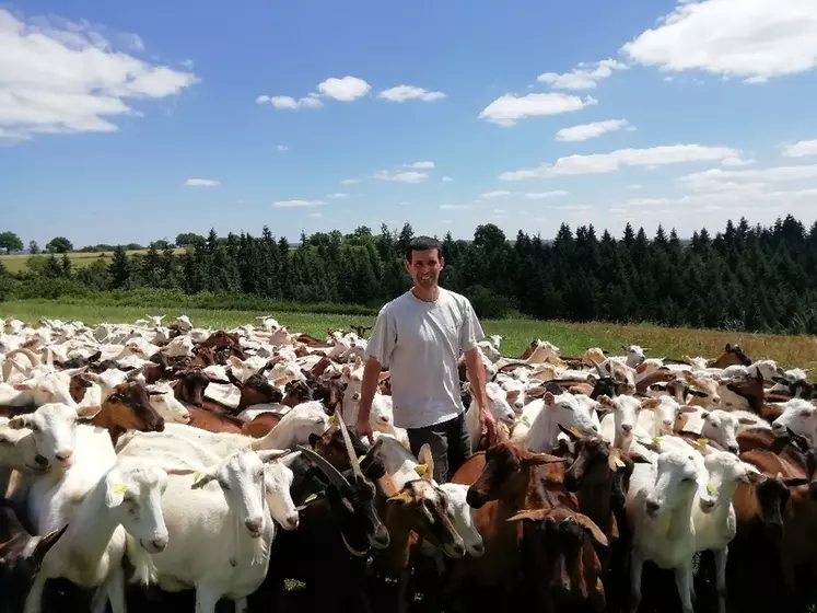 Le nouveau président de Capgenes, Fréderic Baudy, élève 500 chèvres de race Saanen et Alpine, en Gaec, en Aveyron. © Gaec des Petits Ruminants