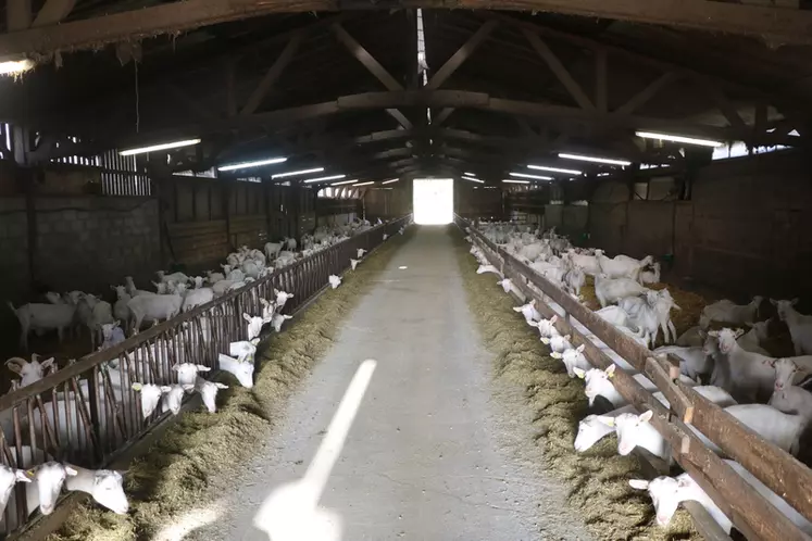 Le Gec de La Garenne associe élevage caprin laitier et grandes cultures de vente.  © B. Morel