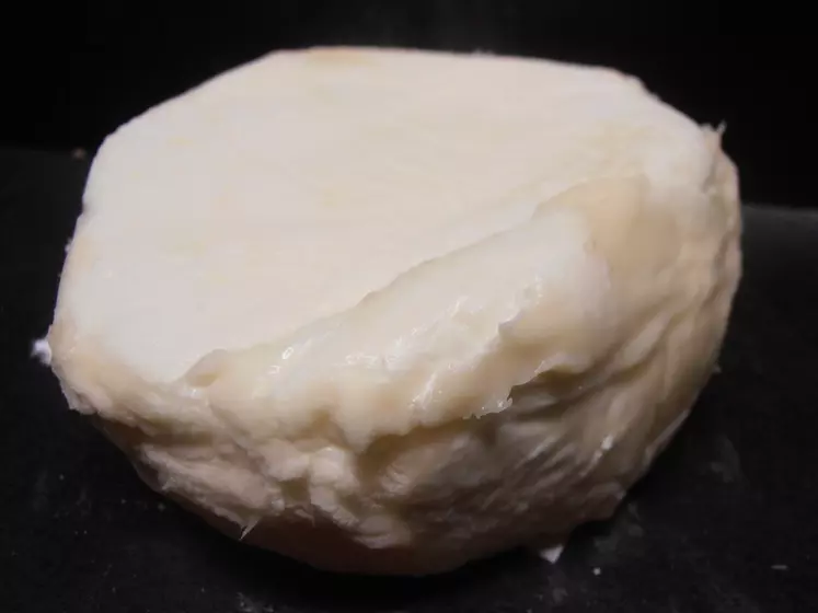 Non recherché : Geotrichum très humide : se décolle du fromage, aspect luisant, fragile, goût acide.