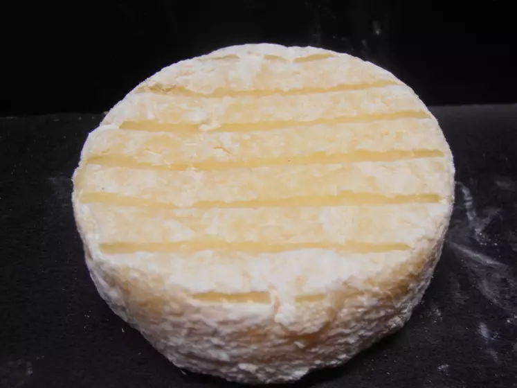 Á éviter : Geotrichum très sec : fromage beaucoup et violemment séché, fromage acide, crissant.