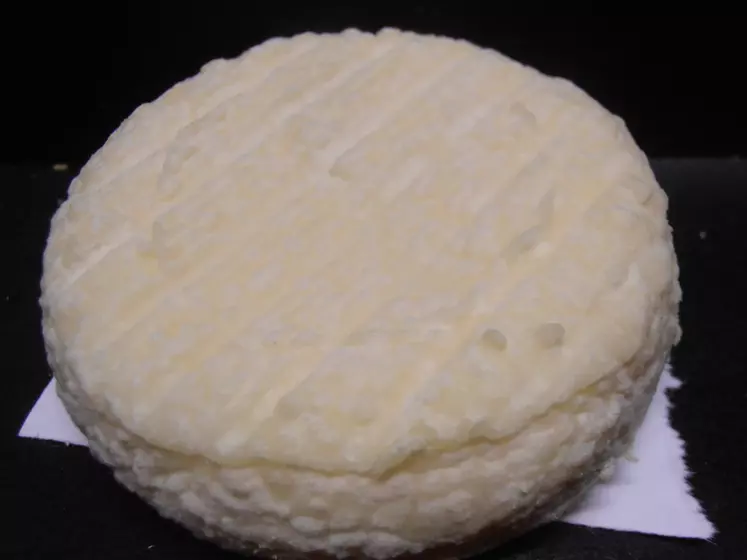 Recherché : Geotrichum fin : texture fromage ferme, goût Geotrichum, crème.
