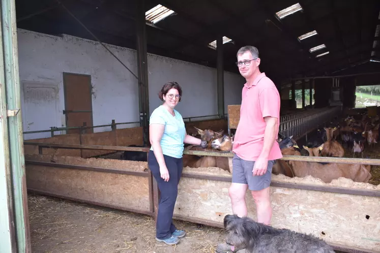 Depuis 2017, Michel Irume et sa femme, Fabienne, ont troqué les brebis pour des chèvres. Un changement qui a nécessité au final peu d'aménagements du bâtiment.