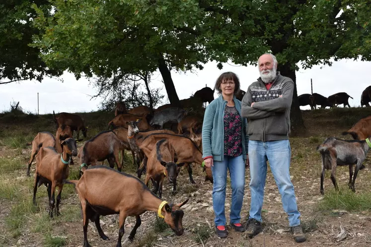 Dans le parc régional du Lubéron, Sophie et Thierry Perez ont créé leur élevage il y a 22 ans.